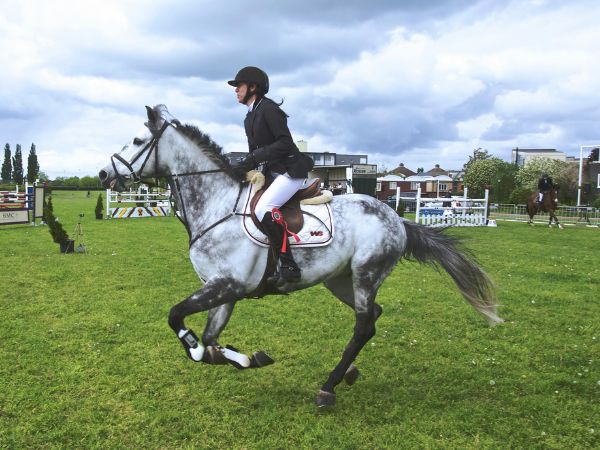 Riding School Image